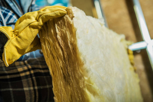 Best Specialized Insulation Services in Loxley, AL