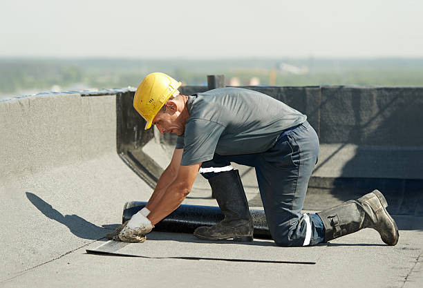 Best Eco-Friendly Insulation in Loxley, AL