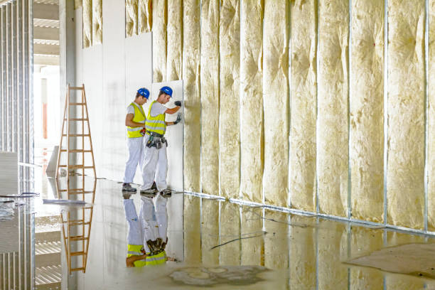 Types of Insulation We Offer in Loxley, AL